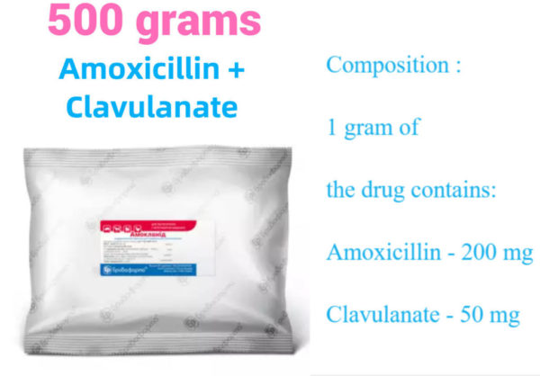 1.1 lb 500 grams ( Amoxicillin + Clavulanic acid )  anaolog Clavamox ®, Treatment , Synulox®