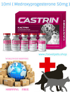 Medroxyprogesterone dogs cats contraceptive heat prevention pregnancy prevention Provera analog Depo-Provera analog veterinary medicine