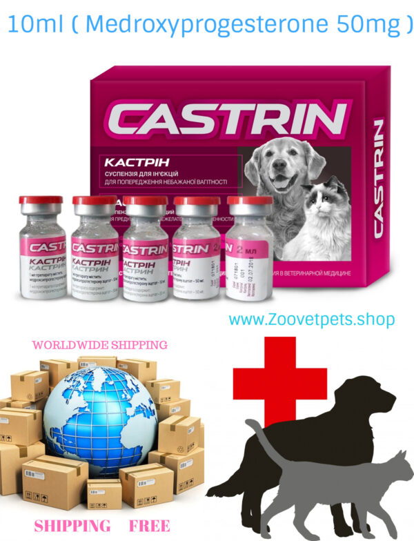 Medroxyprogesterone dogs cats contraceptive heat prevention pregnancy prevention Provera analog Depo-Provera analog veterinary medicine