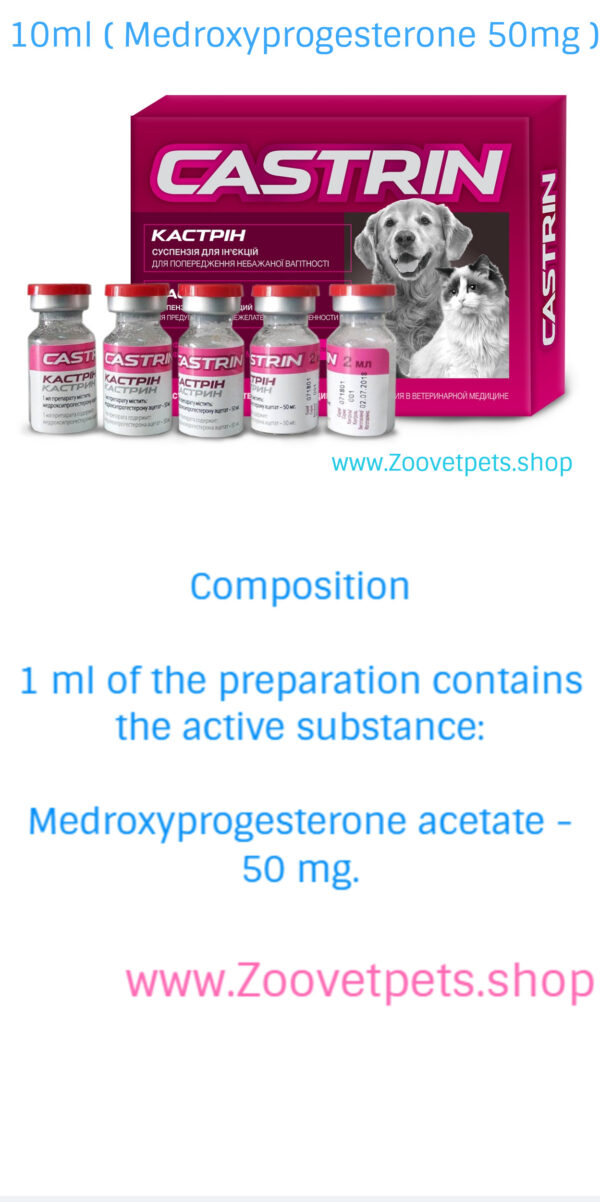 Medroxyprogesterone dogs cats contraceptive heat prevention pregnancy prevention Provera analog Depo-Provera analog veterinary medicine