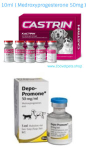 Medroxyprogesterone dogs cats contraceptive heat prevention pregnancy prevention Provera analog Depo-Provera analog veterinary medicine