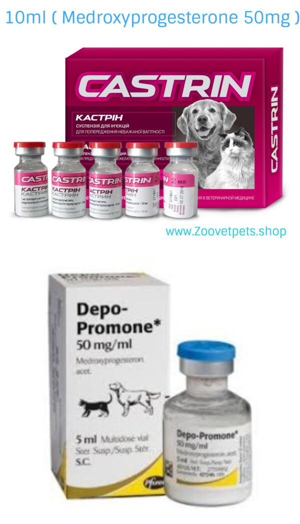 Medroxyprogesterone dogs cats contraceptive heat prevention pregnancy prevention Provera analog Depo-Provera analog veterinary medicine