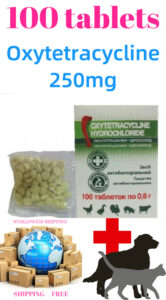 Oxytetracycline cattle dogs cats pigs poultry salmonella staphylococcus streptococcus rickettsia mycoplasm respiratory diseases digestive diseases veterinary medicine