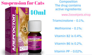 Suspension cats allergic dermatitis neurodermatitis eczema atopic dermatitis alopecia insect bites veterinary medicine