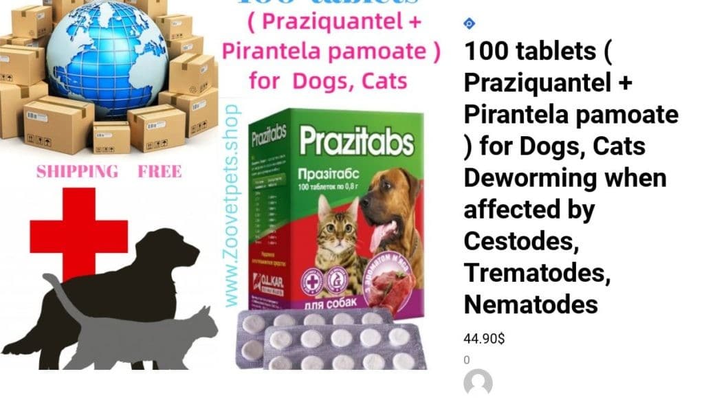 Bayer praziquantel for cats Clearance