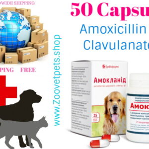 50 Capsules ( Amoxicillin + Clavulanic acid )  analog Clavamox ®, Synulox®
