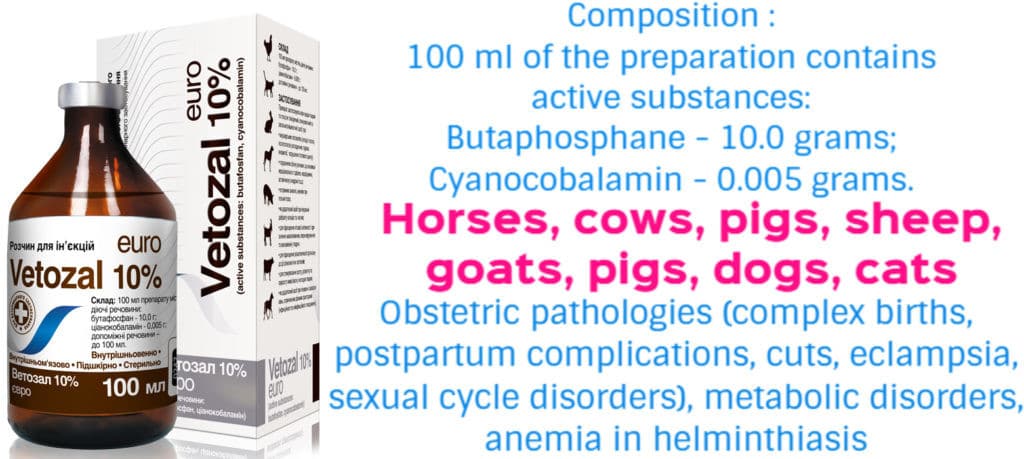 Zoovetpets  