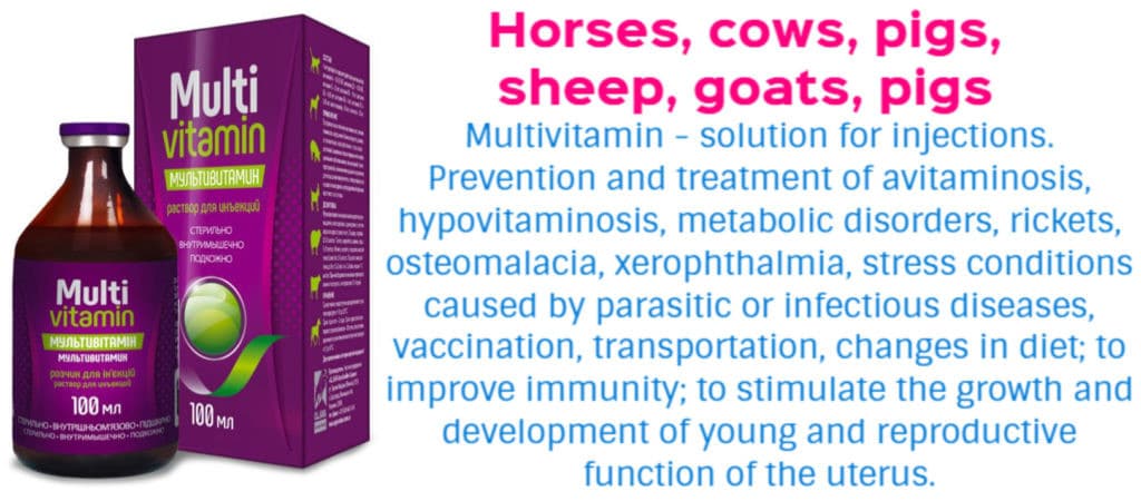 Zoovetpets  