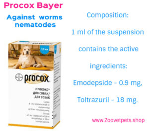 Procox
Bayer
gastrointestinal nematodes
worm treatment
dogs
deworming
veterinary medicine
pet parasite control