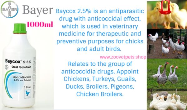 Baycox 2.5% Toltrazuril coccidiosis treatment Eimeria Carpelli chicken duck turkey goose pigeon poultry health veterinary medicine