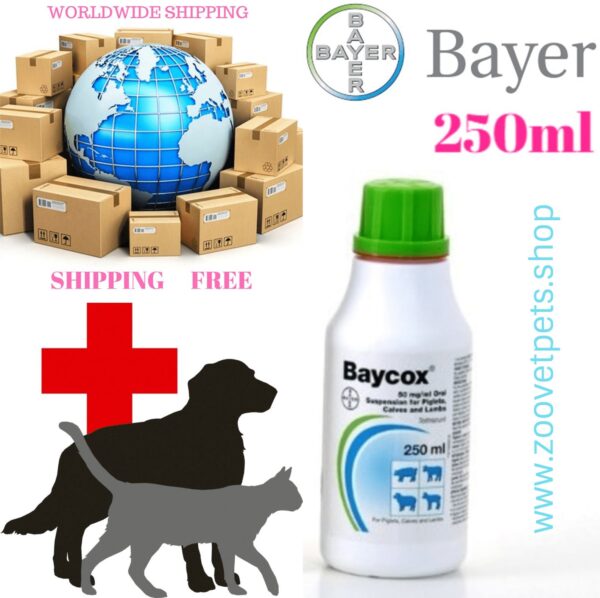 Baycox 5% Toltrazuril coccidiosis treatment Eimeria bovis Eimeria zuernii Eimeria alabamesis Isospora suis young cattle calves piglets veterinary medicine
