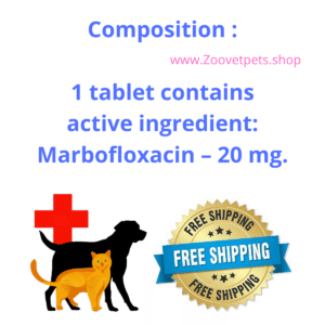 Marbofloxacin, cats, urinary tract infections, skin infections, pyoderma, impetigo, folliculitis, bacterial cellulitis, veterinary medicine, FDA approved, Zeniquin analog